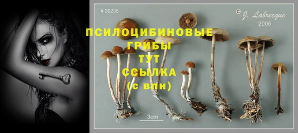 ешки Михайловск