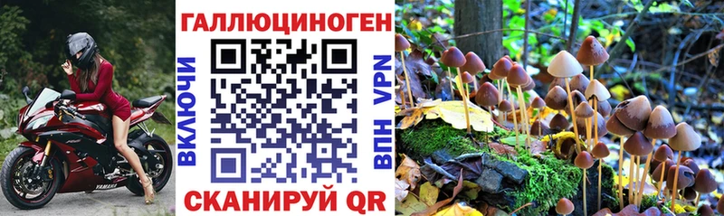 Галлюциногенные грибы прущие грибы  Купить закладки  Шали 